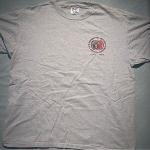 Gray Beastie Boys local crew 1995 tourT-Shirt